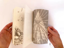 Cargar imagen en el visor de la galería, GRANNY SAMURAI AND THE BRAIN OF ULTIMATE DOOMITUDE