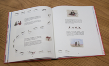 Cargar imagen en el visor de la galería, THE WOLVES CURRUMPAW