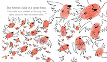 Cargar imagen en el visor de la galería, I AM HENRY FINCH