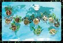 Cargar imagen en el visor de la galería, MASTERS OF DISGUISE