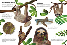 Cargar imagen en el visor de la galería, MASTERS OF DISGUISE