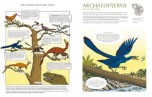 Cargar imagen en el visor de la galería, FOSSILS FROM LOST WORLDS