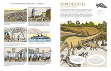 Cargar imagen en el visor de la galería, FOSSILS FROM LOST WORLDS