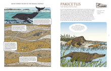 Cargar imagen en el visor de la galería, FOSSILS FROM LOST WORLDS