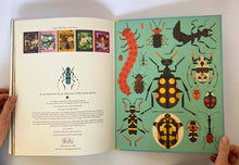 Cargar imagen en el visor de la galería, BONKERS ABOUT BEETLES