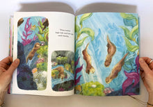 Cargar imagen en el visor de la galería, THE PERFECT ROCK