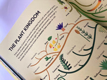 Cargar imagen en el visor de la galería, I ATE SUNSHINE FOR BREAKFAST