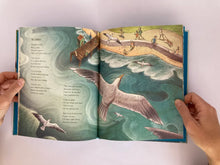 Cargar imagen en el visor de la galería, SEAGULL SEAGULL