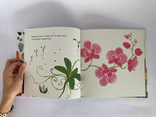 Cargar imagen en el visor de la galería, SEEDS