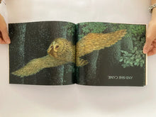 Cargar imagen en el visor de la galería, OWL BABIES