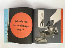 Cargar imagen en el visor de la galería, JUST BECAUSE