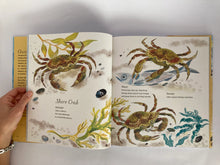 Cargar imagen en el visor de la galería, FIRST BOOK OF THE SEA