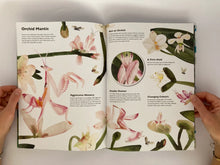 Cargar imagen en el visor de la galería, MASTERS OF DISGUISE