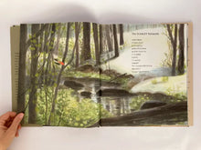 Cargar imagen en el visor de la galería, IN THE WOODS