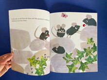 Cargar imagen en el visor de la galería, FREDERICK