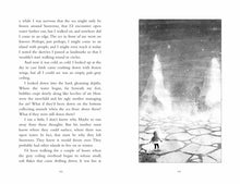 Cargar imagen en el visor de la galería, THE ICE SEA PIRATES