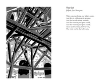 Cargar imagen en el visor de la galería, WATCHING THE SWALLOWS: A BOOK OF BIRD POEMS