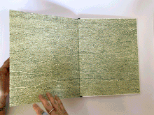 Cargar imagen en el visor de la galería, BANDOOLA: THE GREAT ELEPHANT RESCUE