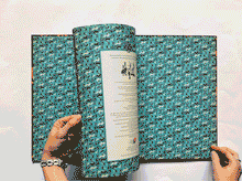 Cargar imagen en el visor de la galería, FOLLOW FINN