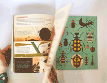 Cargar imagen en el visor de la galería, BONKERS ABOUT BEETLES