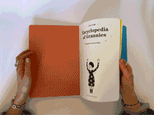 Cargar imagen en el visor de la galería, ENCYCLOPEDIA OF GRANNIES