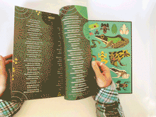 Cargar imagen en el visor de la galería, FANATICAL ABOUT FROGS