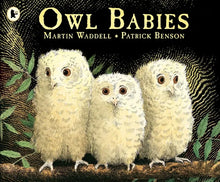 Cargar imagen en el visor de la galería, OWL BABIES