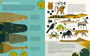 CURIOUS ABOUT CROCODILES