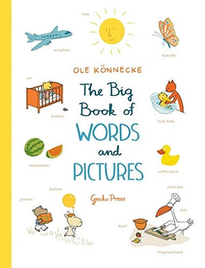 BIG BOOK OF WORDS AND PICTURES