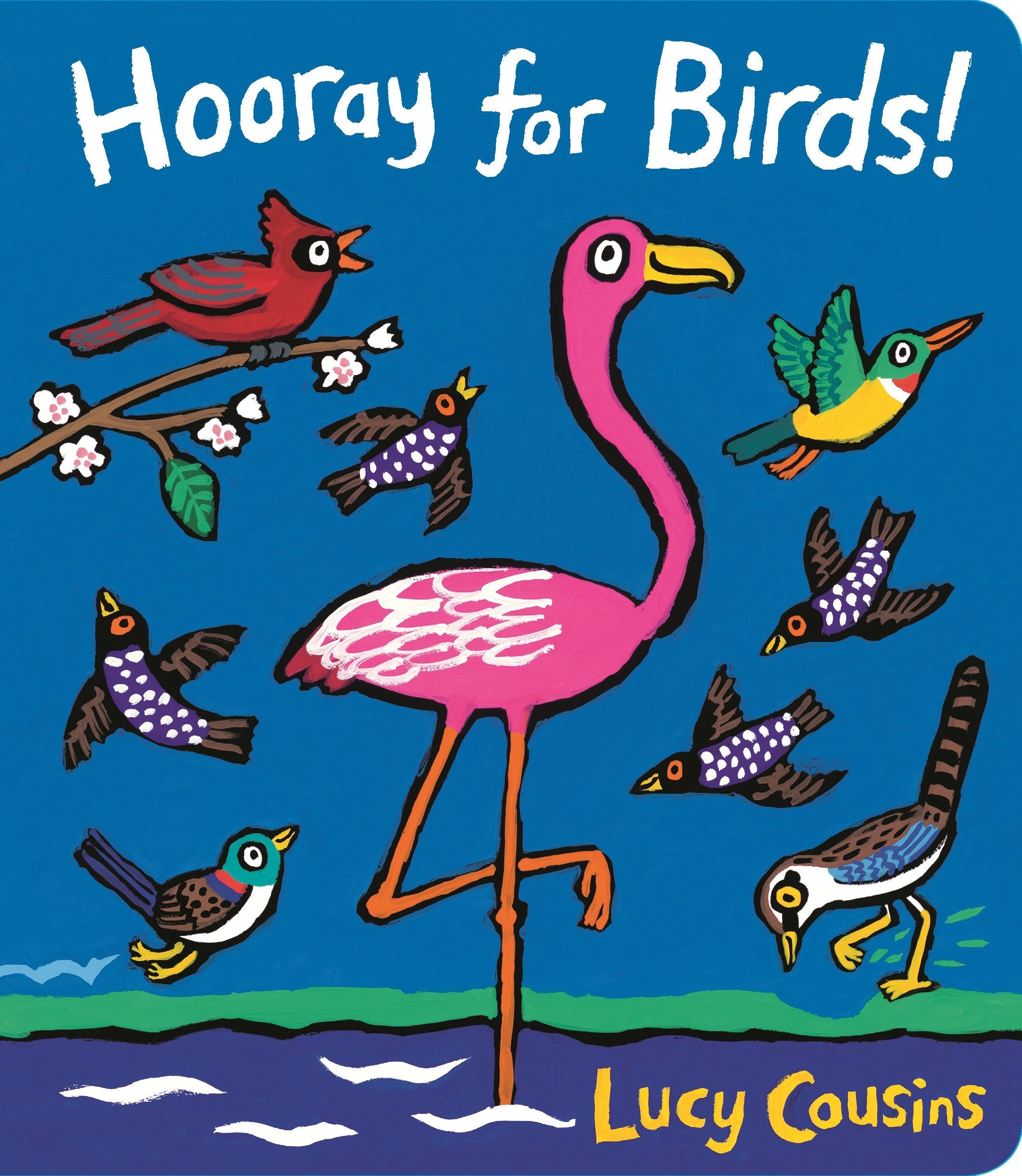HOORAY FOR BIRDS