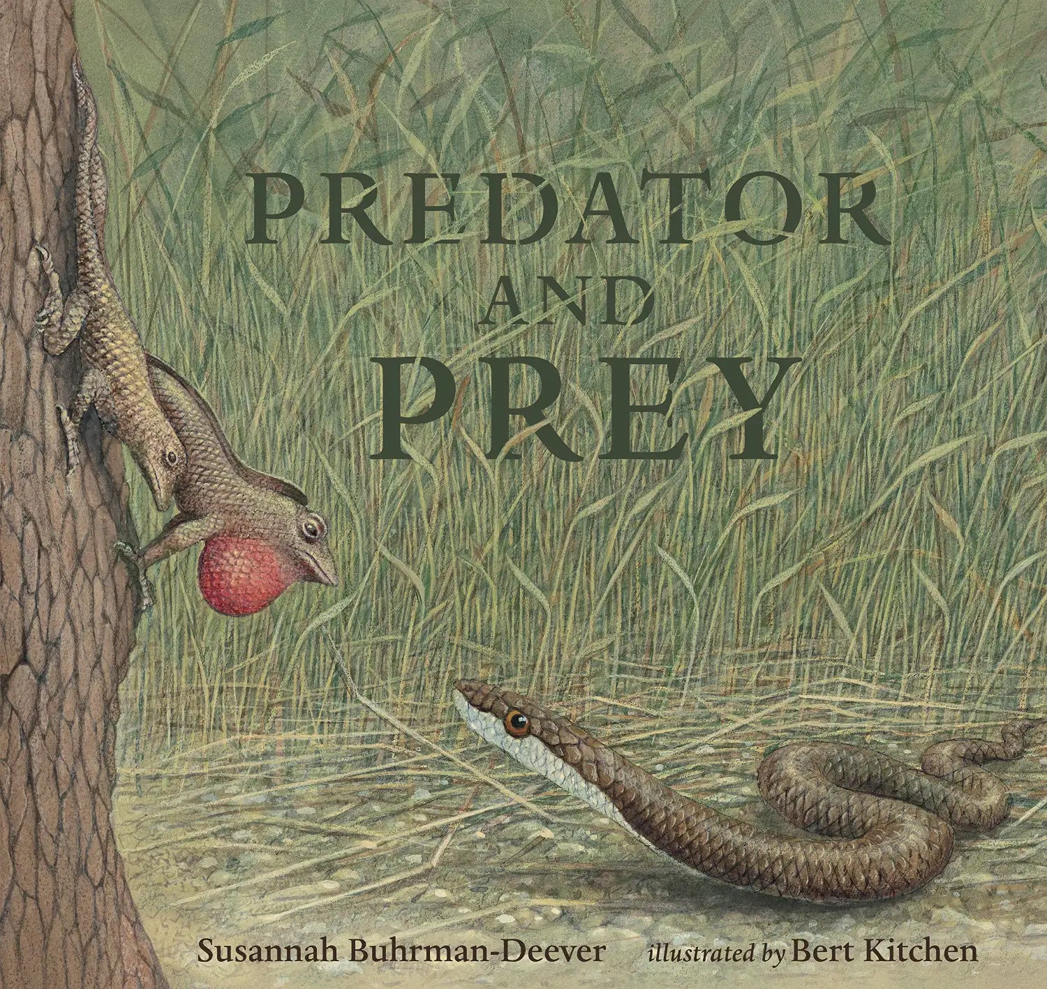 PREDATOR AND PREY