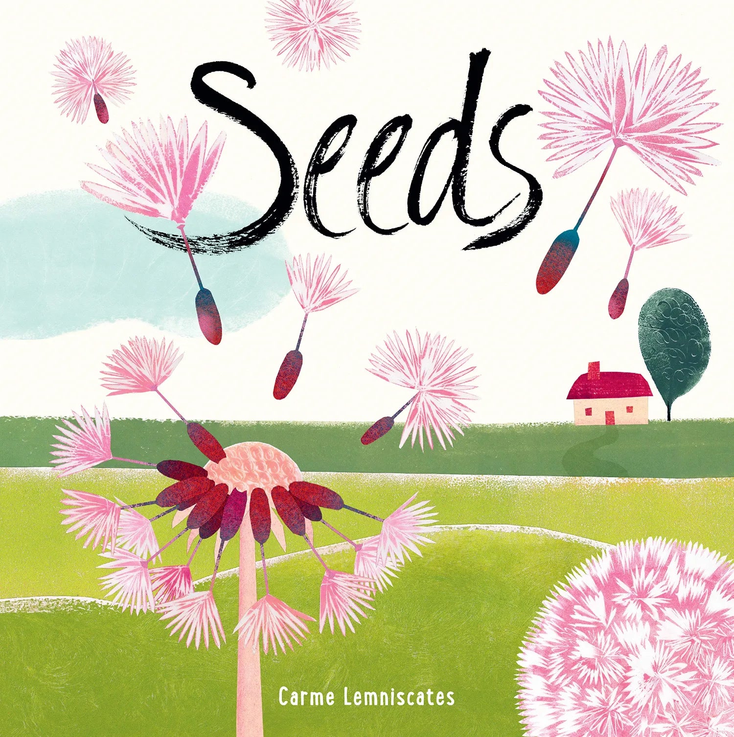 SEEDS