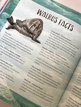 Cargar imagen en el visor de la galería, WALRUS SONG