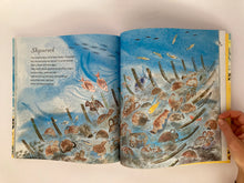 Cargar imagen en el visor de la galería, FIRST BOOK OF THE SEA